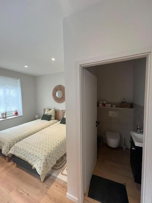 Appartement Colmar Centre - Le Schickele Extérieur photo