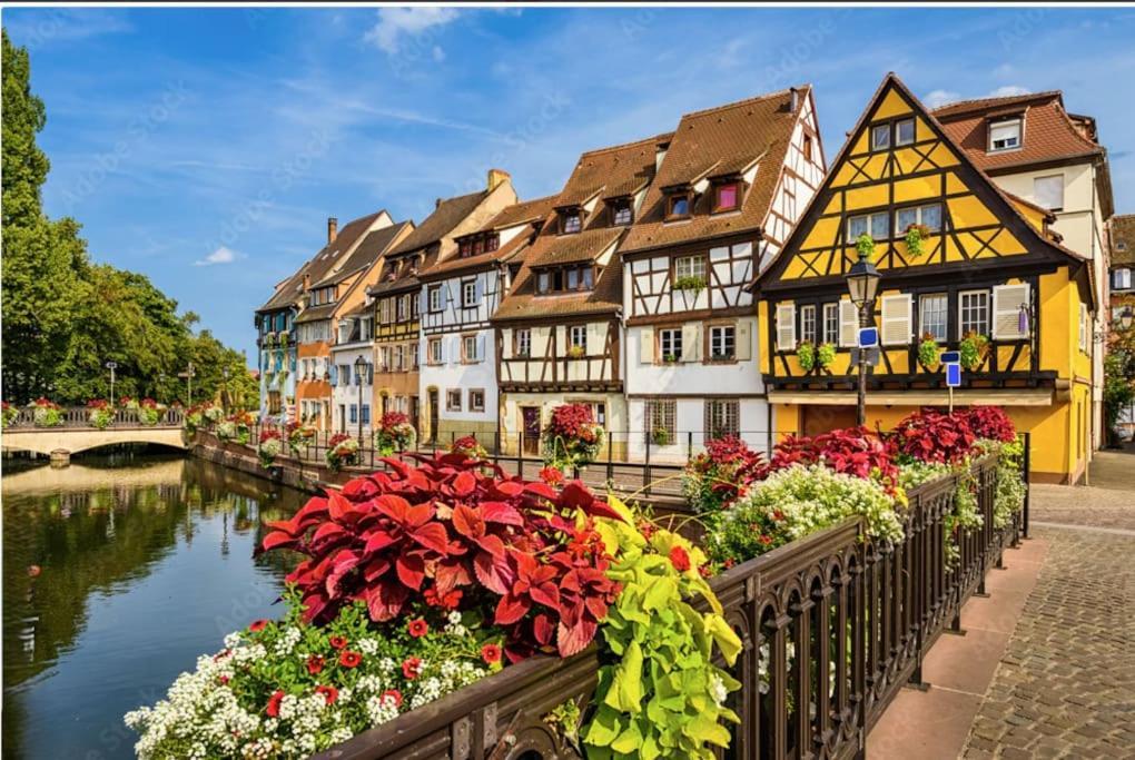 Appartement Colmar Centre - Le Schickele Extérieur photo